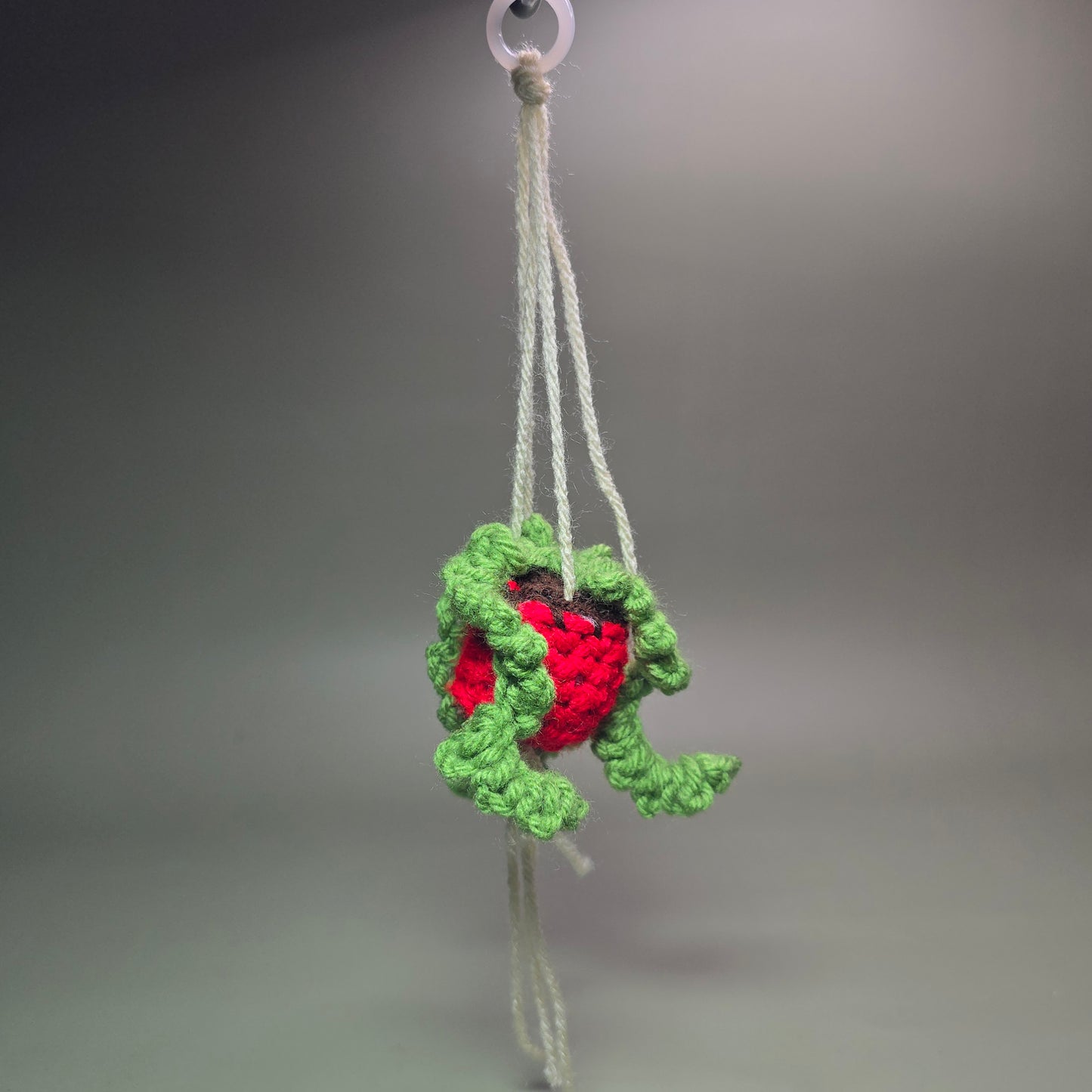 Hanging Crochet Plants [Red Pot] by LCRoo