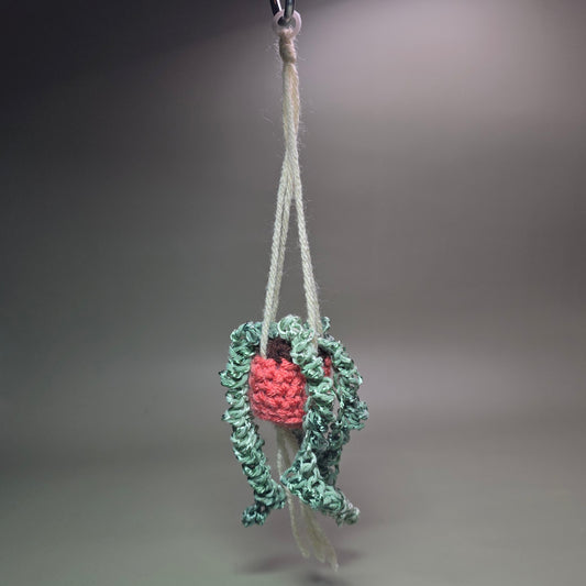 Hanging Crochet Plants [Terra Cotta Pot w/ Light Green] by LCRoo