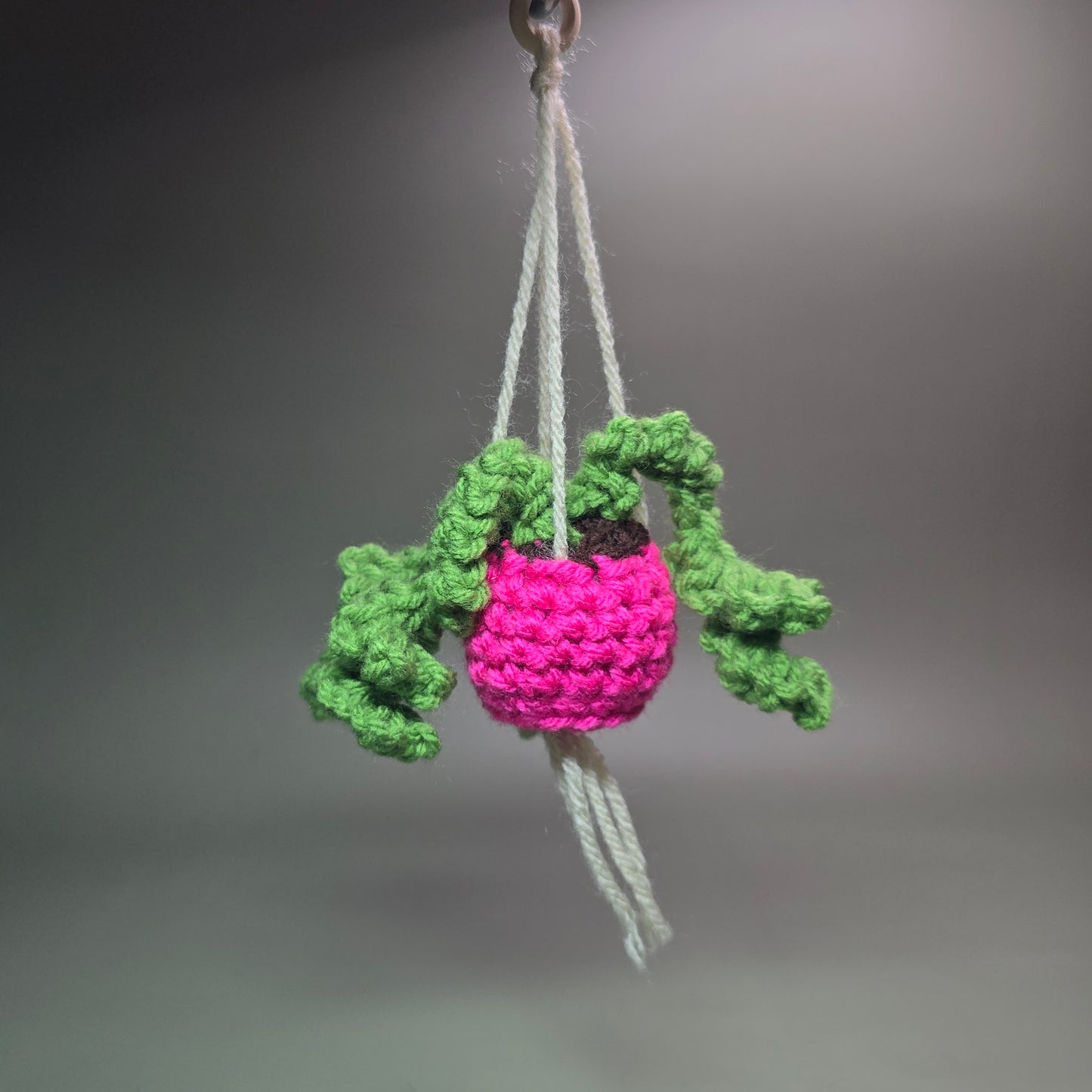 Hanging Crochet Plants [Pink Pot] by LCRoo