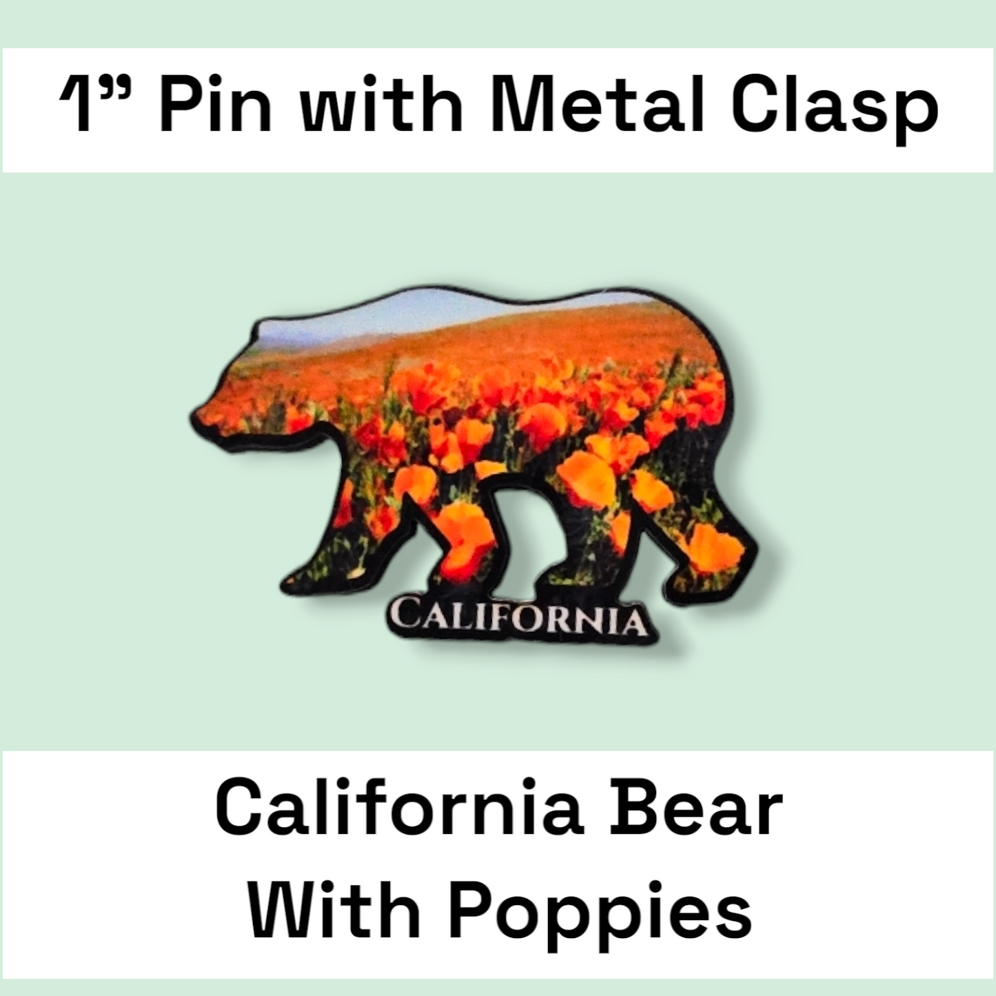 California Bear with Poppies - JW - 1 in Pin