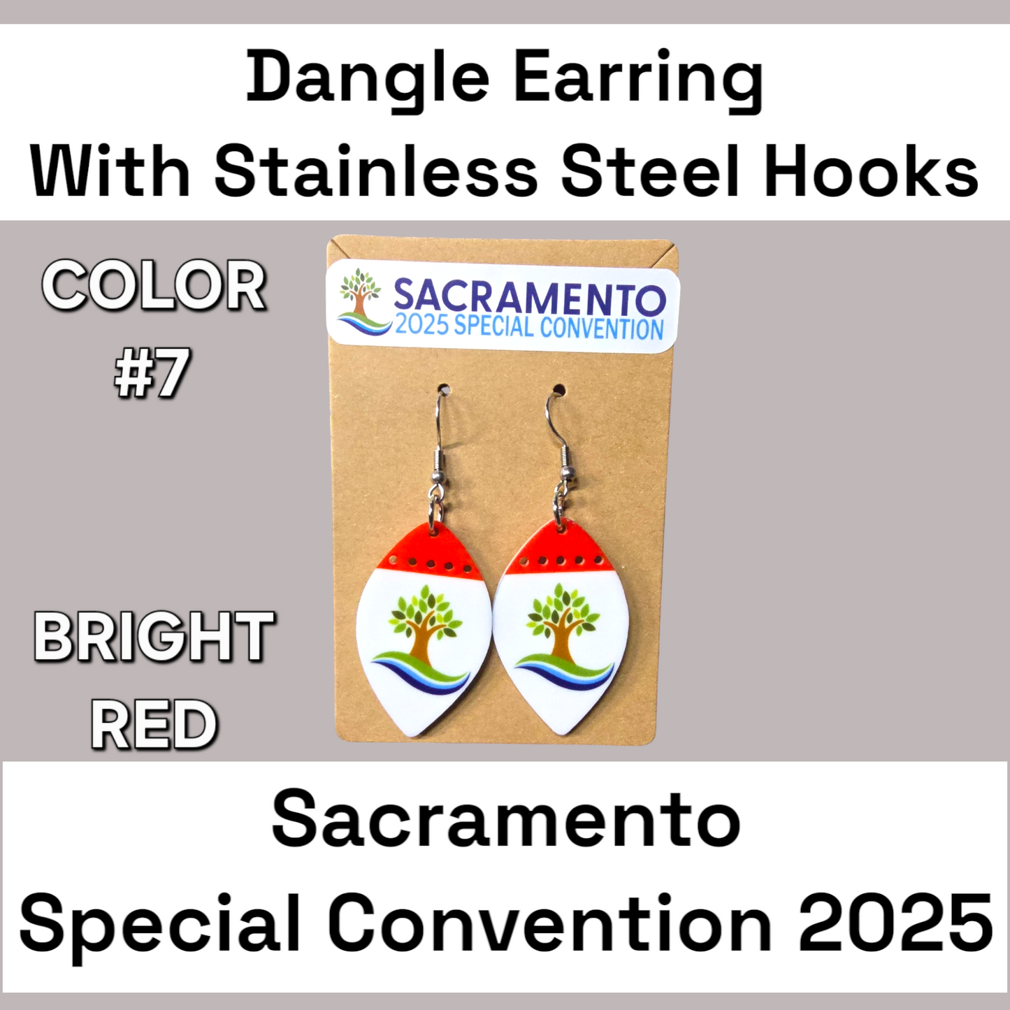 Two Tone Dangle Earrings - 2025 Sacramento Special Convention - Stainless Steel Hooks