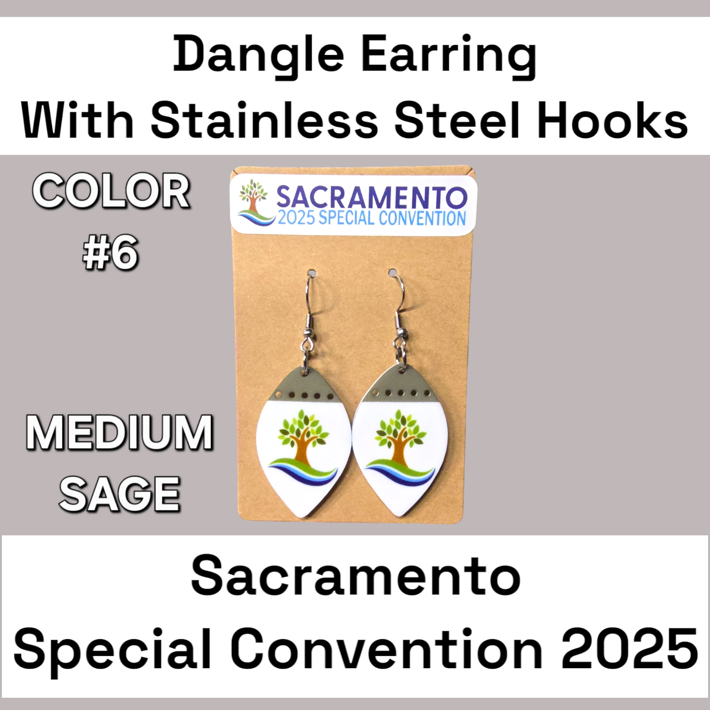 Two Tone Dangle Earrings - 2025 Sacramento Special Convention - Stainless Steel Hooks