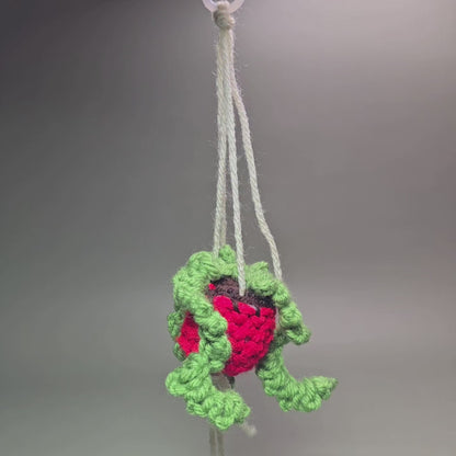 Hanging Crochet Plants [Red Pot] by LCRoo